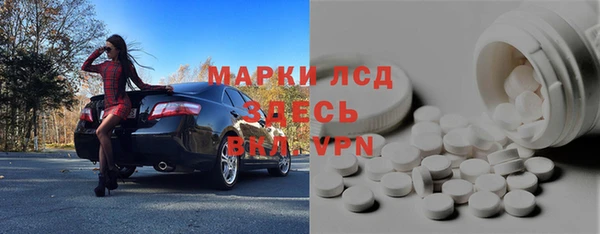 прущие грибы Баксан