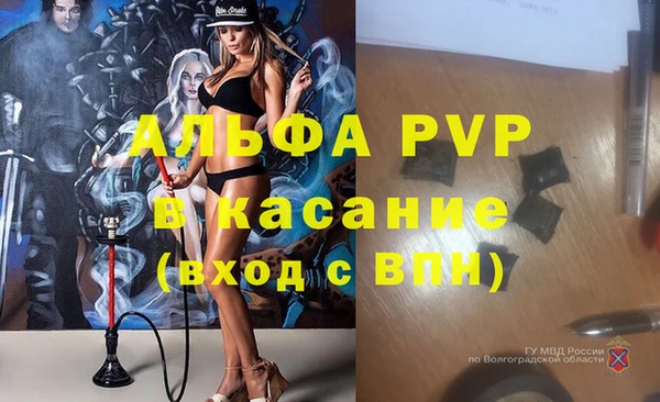 прущие грибы Баксан