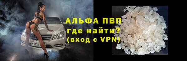 прущие грибы Баксан