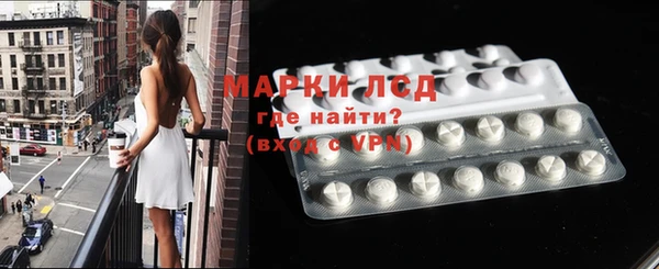 прущие грибы Баксан